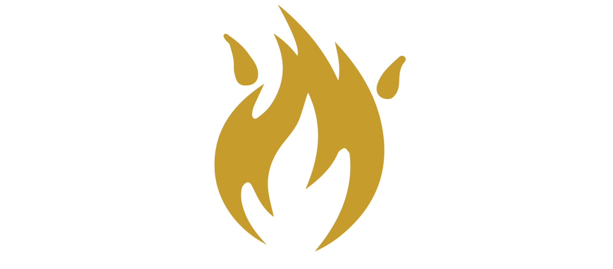 Fan G800 - Wheatland Fireplace