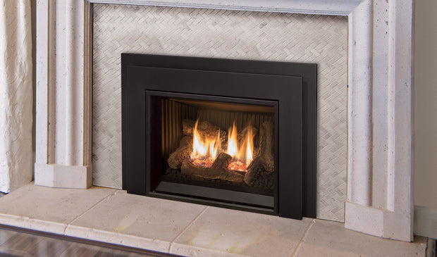Enviro E20 Gas Insert — Millivolt - Wheatland Fireplace