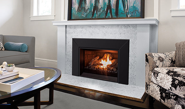 Enviro E25 Gas Insert - Wheatland Fireplace