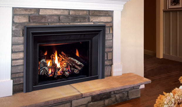 Enviro E30 Gas Insert - Wheatland Fireplace