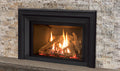 Enviro EX32 Gas Insert - Wheatland Fireplace