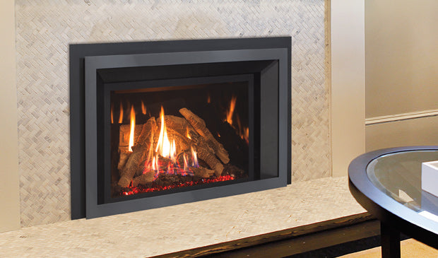 Enviro EX32 Gas Insert - Wheatland Fireplace