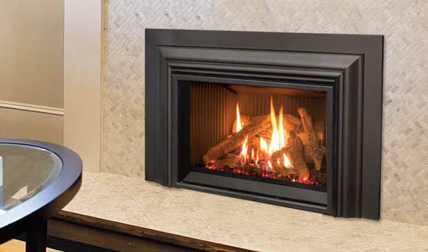 Enviro EX32 Gas Insert - Wheatland Fireplace