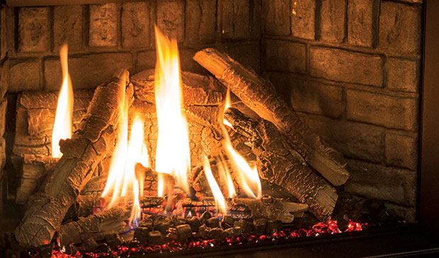 Enviro EX35 Gas Insert - Wheatland Fireplace