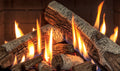 Ri30 Birch Log Set - Wheatland Fireplace