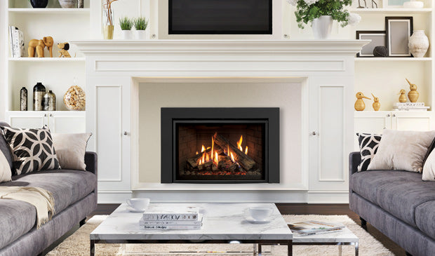 Ri30 Gas Fireplace Insert - Wheatland Fireplace