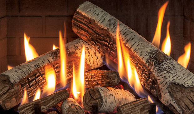 Ri30 Gas Fireplace Insert - Wheatland Fireplace