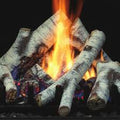Log Set - Birch - Wheatland Fireplace
