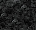 Andiron Black Embers - Wheatland Fireplace