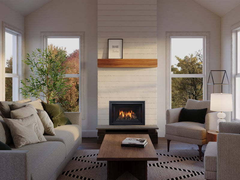 Regency Atmosphere Gi25LE Gas Insert - Wheatland Fireplace