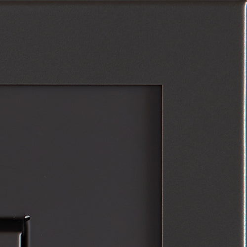 Regency Atmosphere Gi29LE Gas Insert - Wheatland Fireplace