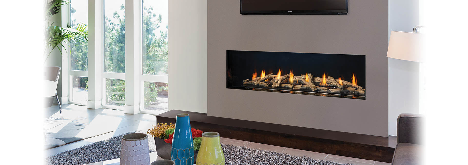 Regency CV60E City Series - Wheatland Fireplace