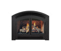 Regency Double Door - Black - Wheatland Fireplace