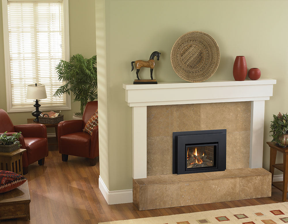 Regency Liberty L234 Gas Insert - Wheatland Fireplace