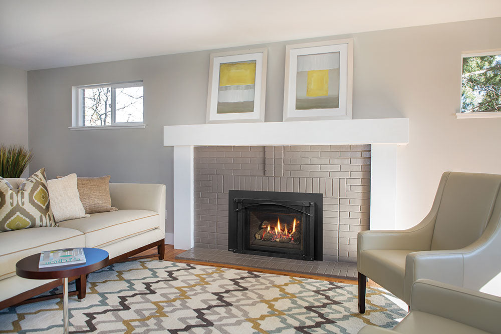 Regency Liberty Radiant LRI4E Gas Insert - Wheatland Fireplace