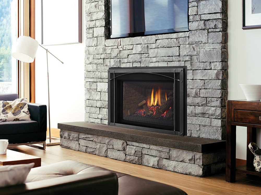 Regency Liberty Radiant LRI6E Gas Insert - Wheatland Fireplace