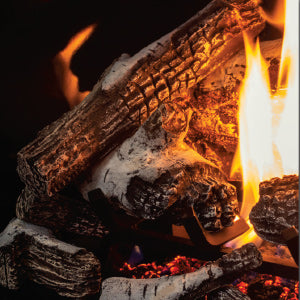 U55 Birch Split Log Set
