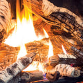 G39 Birch Split Log Set