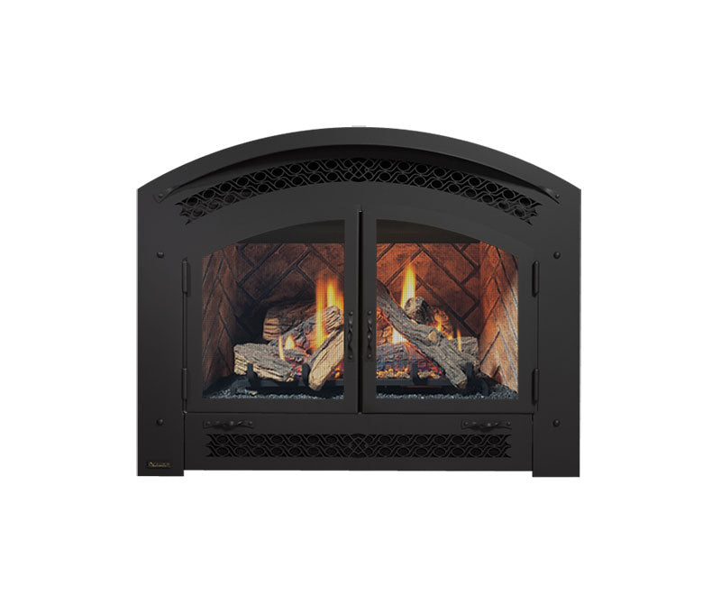 Double Door - Black - Wheatland Fireplace