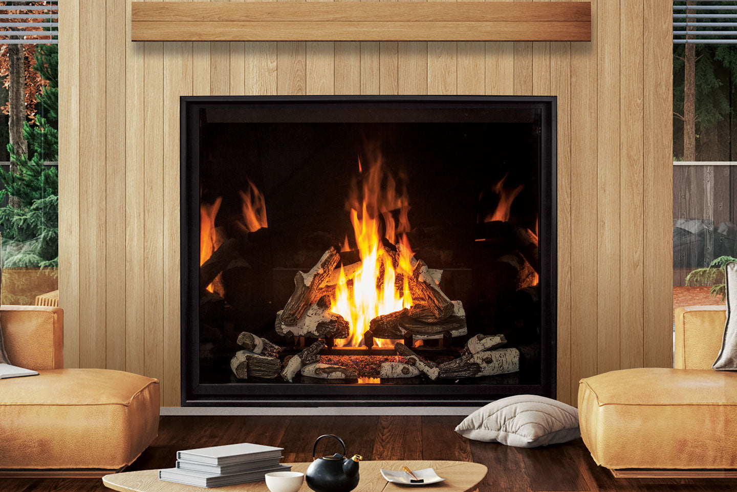 U55 Gas Fireplace IPI w/ Painted Liner & Remote