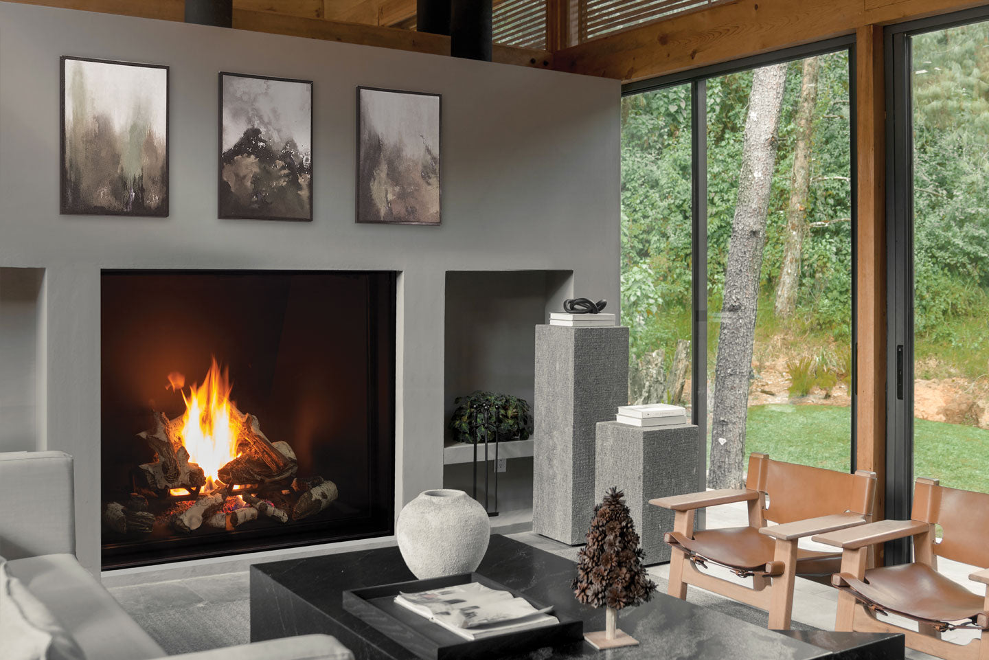 U55 Gas Fireplace IPI w/ Painted Liner & Remote